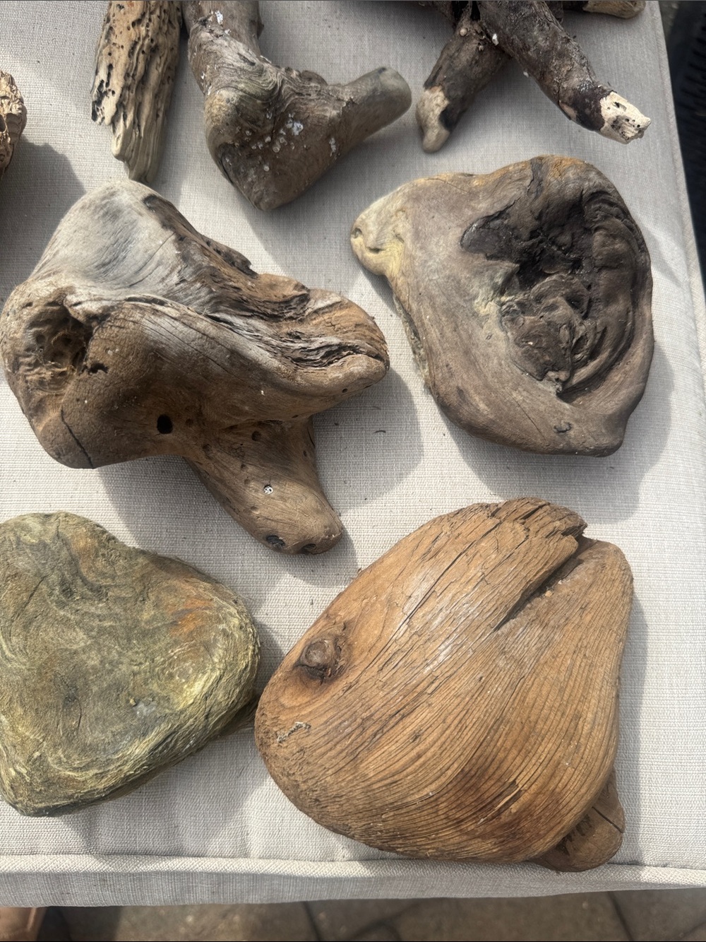 For LYNDA 19 pc (5 lb shipped) Natural Driftwood for Craft, Projects, Upcycle - Picture 10 of 16